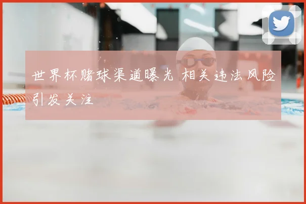 世界杯赌球渠道曝光 相关违法风险引发关注