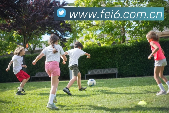 开云(中国)Kaiyun·官方网站 - 登录入口APP 体育赛事宣传图